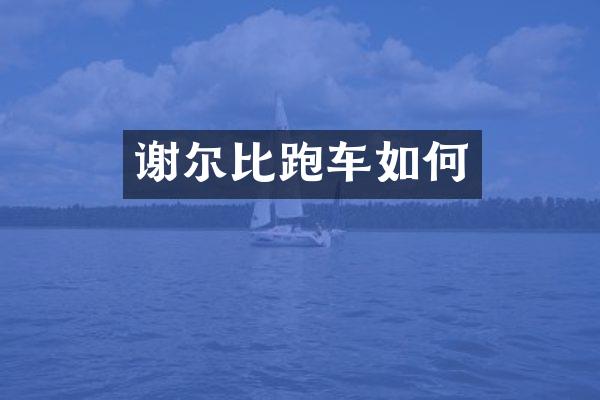 谢尔比跑车如何