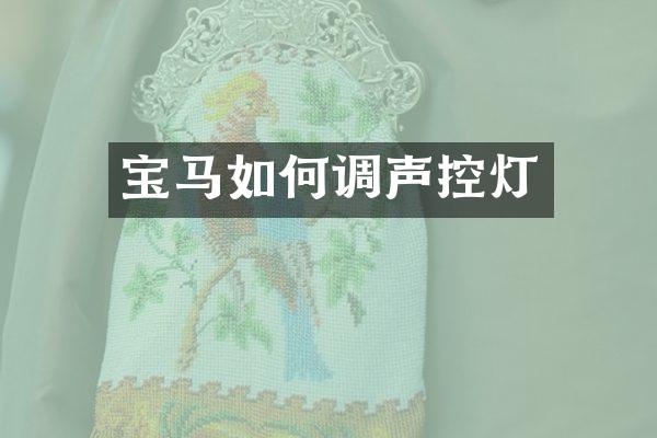 宝马如何调声控灯