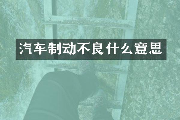 汽车制动不良什么意思