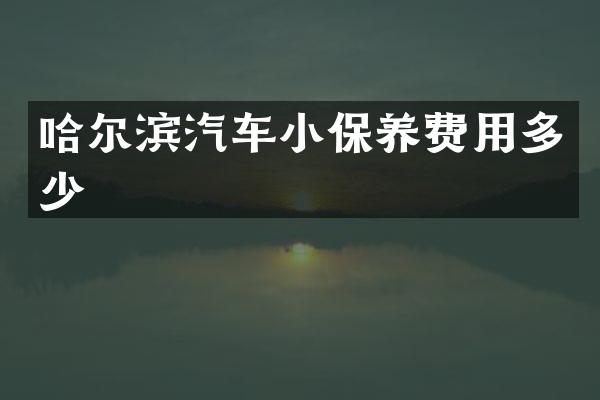 哈尔滨汽车小保养费用多少