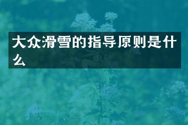 大众滑雪的指导原则是什么