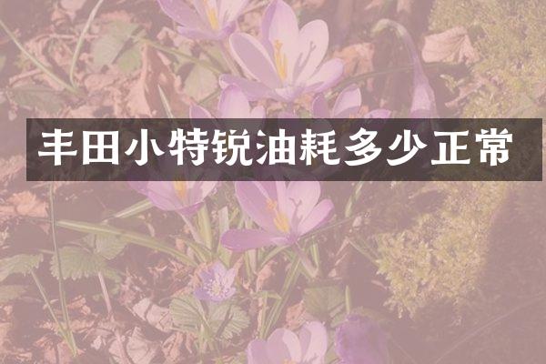 丰田小特锐油耗多少正常