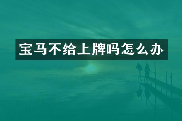 宝马不给上牌吗怎么办