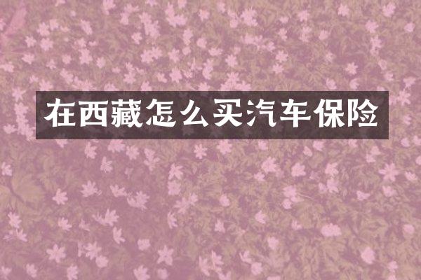 在西藏怎么买汽车保险
