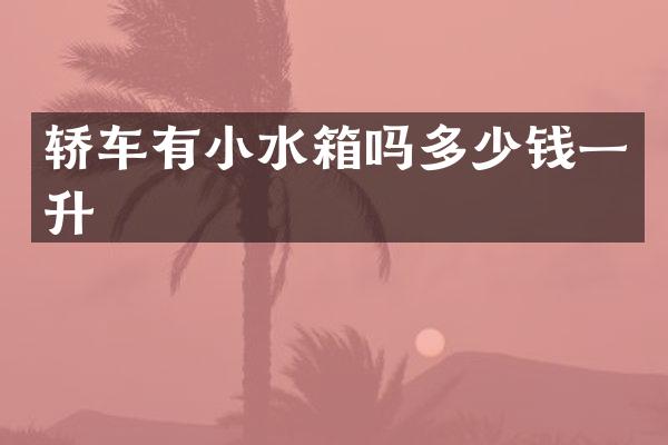 轿车有小水箱吗多少钱一升