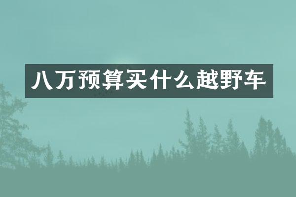 八万预算越野车