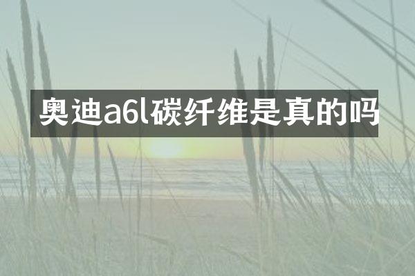 奥迪a6l碳纤维是真的吗