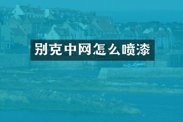 别克中网怎么喷漆
