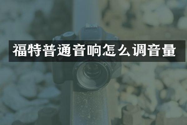 福特普通音响怎么调音量