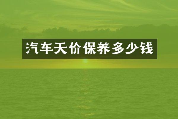 汽车天价保养多少钱
