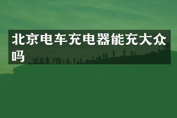 北京电车充电器能充大众吗