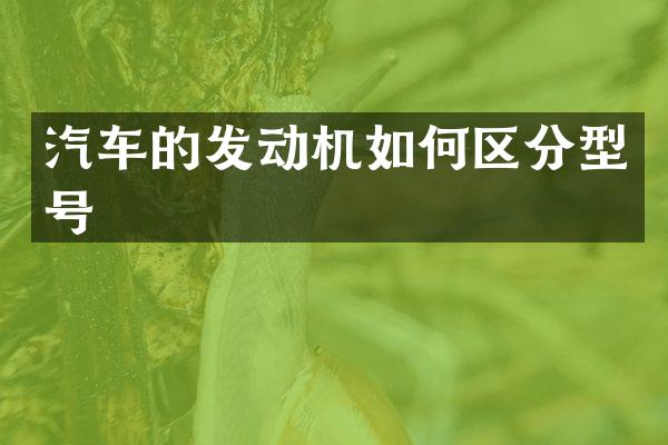 汽车的发动机如何区分型号