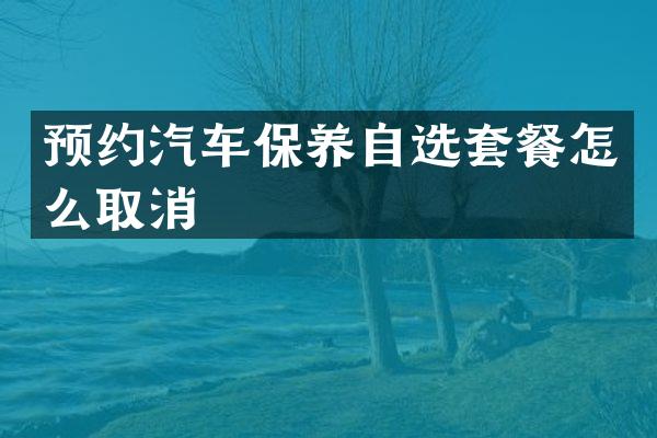 预约汽车保养自选套餐怎么取消