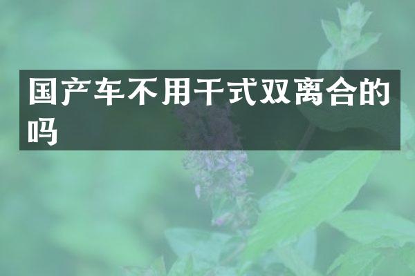 国产车不用干式双离合的吗