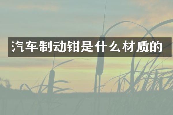 汽车制动钳是什么材质的