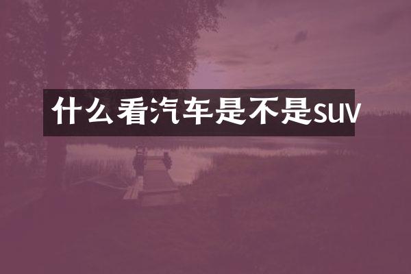 什么看汽车是不是suv