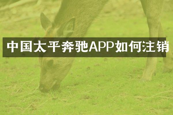 中国太平奔驰APP如何注销