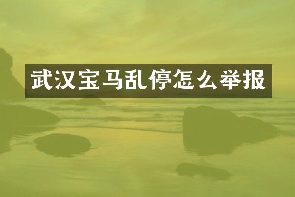 武汉宝马乱停怎么举报