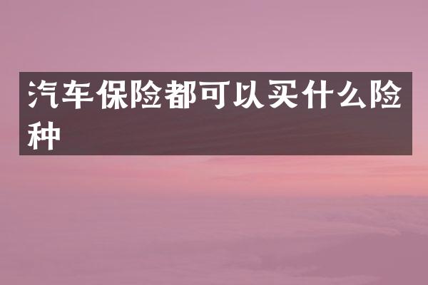 汽车保险都可以险种