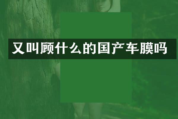 又叫顾什么的国产车膜吗