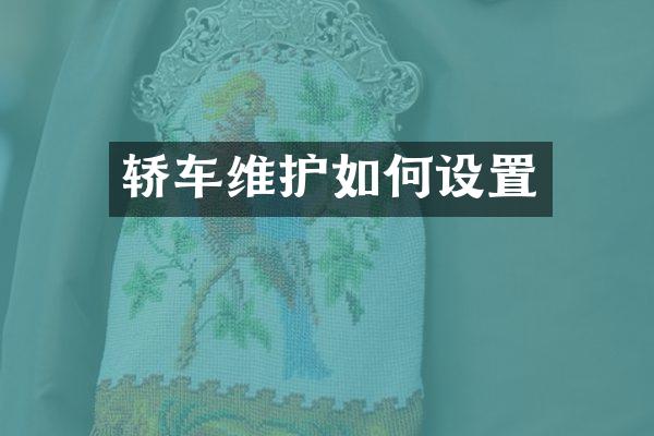 轿车维护如何设置