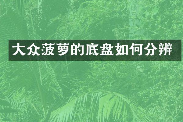 大众菠萝的底盘如何分辨
