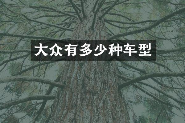 大众有多少种车型
