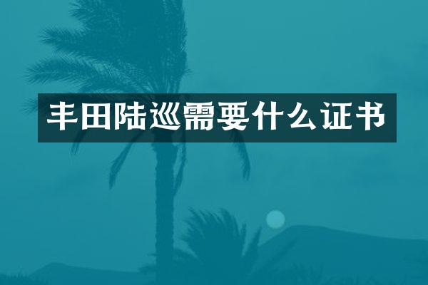 丰田陆巡需要什么证书