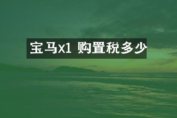 宝马x1 购置税多少