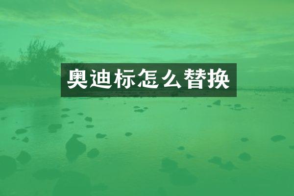 奥迪标怎么替换