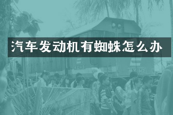 汽车发动机有蜘蛛怎么办