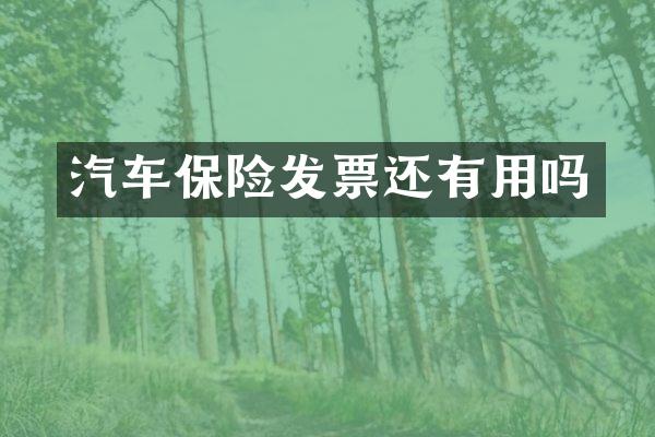 汽车保险发票还有用吗