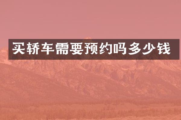 买轿车需要预约吗多少钱