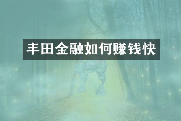 丰田金融如何赚钱快