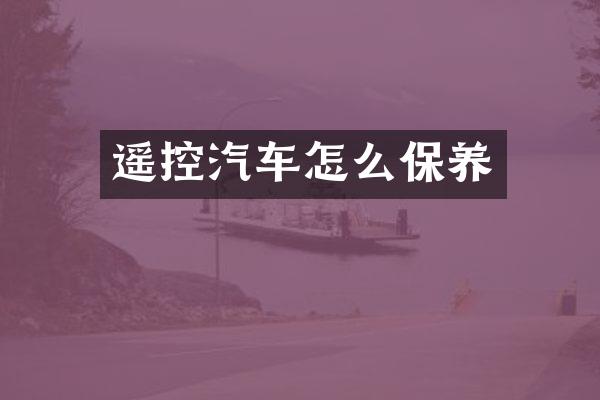 遥控汽车怎么保养