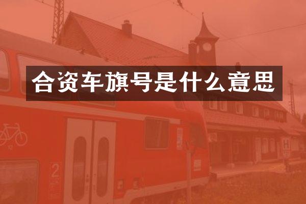 合资车旗号是什么意思