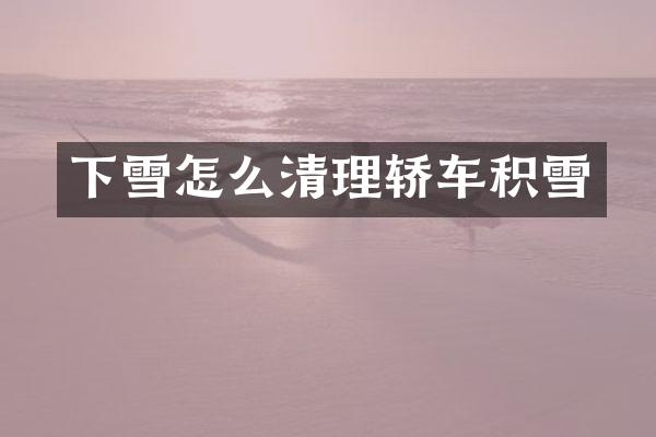 下雪怎么清理轿车积雪