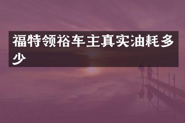 福特领裕车主真实油耗多少