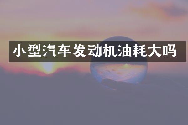 小型汽车发动机油耗大吗