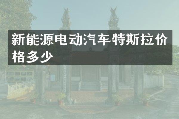 新能源电动汽车特斯拉价格多少