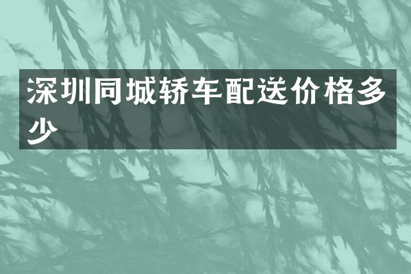 深圳同城轿车配送价格多少