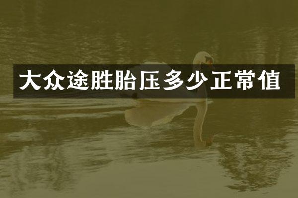 大众途胜胎压多少正常值