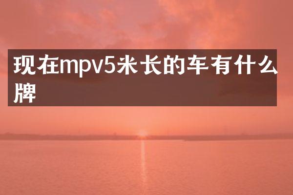 现在mpv5米长的车有什么品牌