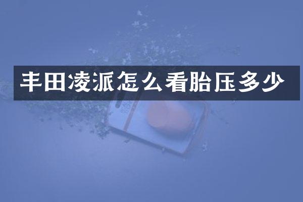 丰田凌派怎么看胎压多少