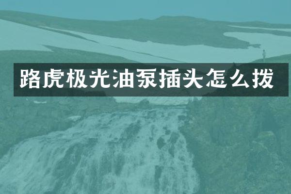 路虎极光油泵插头怎么拨