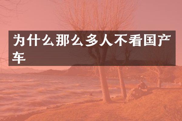 为什么那么多人不看国产车