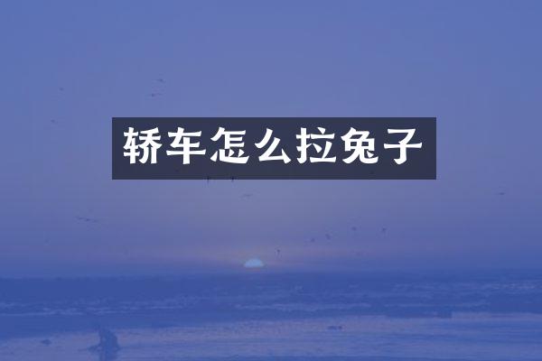 轿车怎么拉兔子