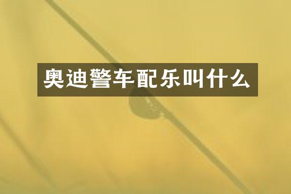 奥迪警车配乐叫什么