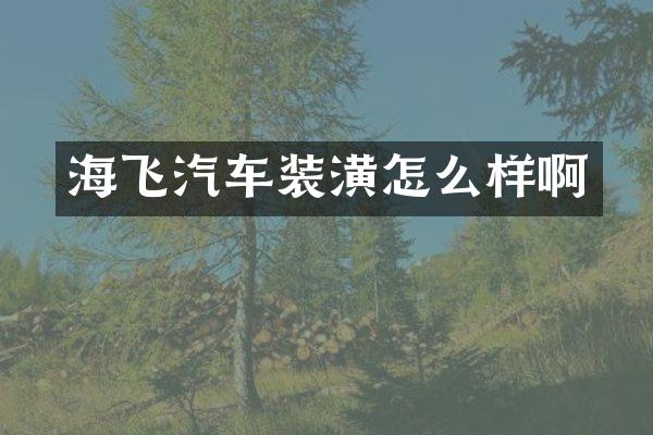 海飞汽车装潢怎么样啊