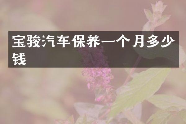 宝骏汽车保养一个月多少钱